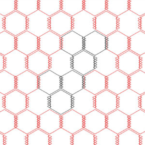 New Chicken Wire